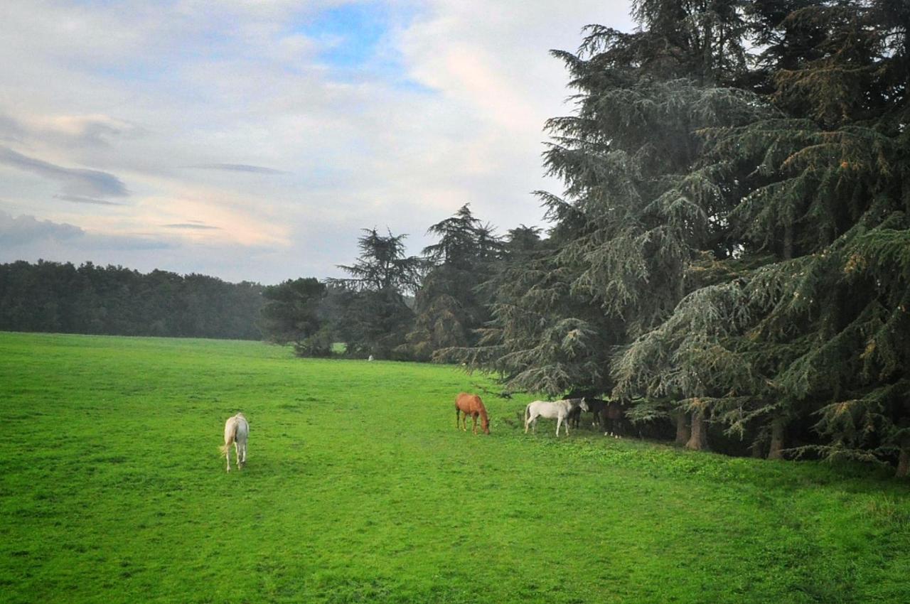 Agriturismo Croara Vecchia Bed and Breakfast Gazzola Di Rivalta Esterno foto