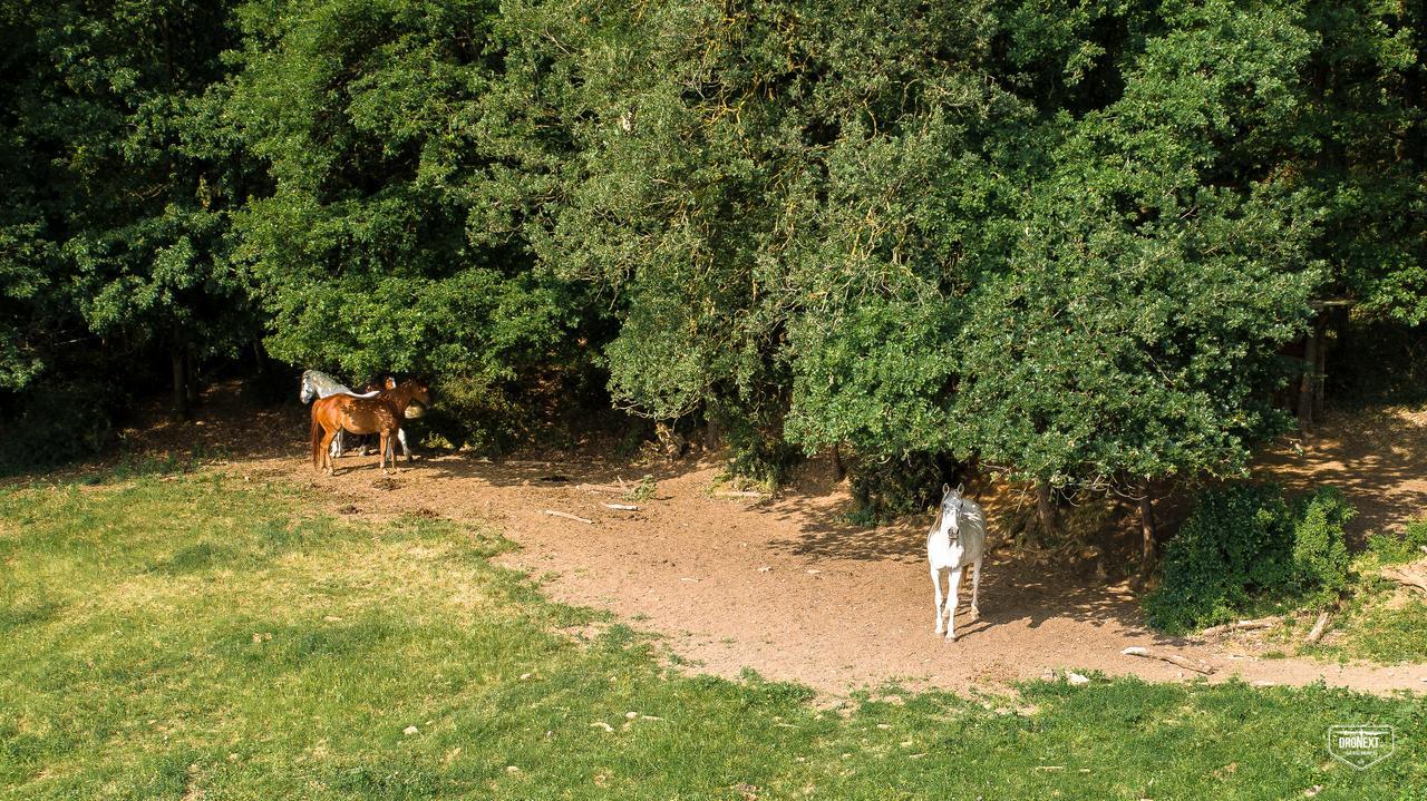 Agriturismo Croara Vecchia Bed and Breakfast Gazzola Di Rivalta Esterno foto